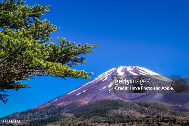 refreshing fuji in may - 裾野市 stock pictures, royalty-free photos & images