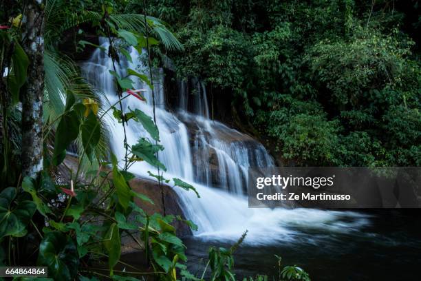 waterfall - férias 個照片及圖片檔