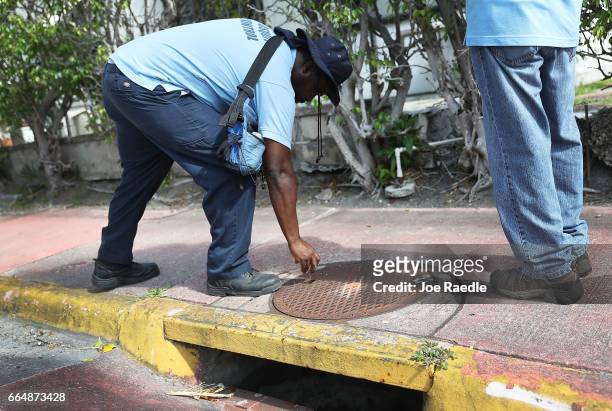 Joseph Blackman, a Miami-Dade County mosquito control inspector, pours larvicide granules into a storm drain where water has pooled in the hope of...
