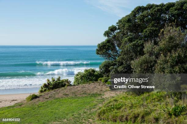 wainui beach, gisborne - gisborne stock pictures, royalty-free photos & images