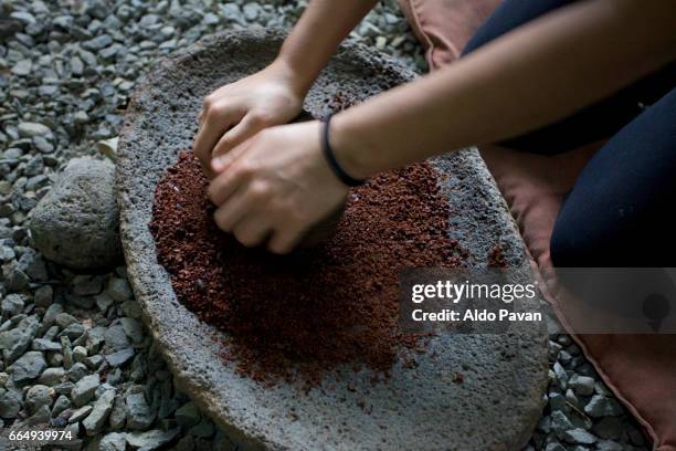 costa rica, sarapiqui, cocoa processing: shredding of beans - cocoa powder stock pictures, royalty-free photos & images