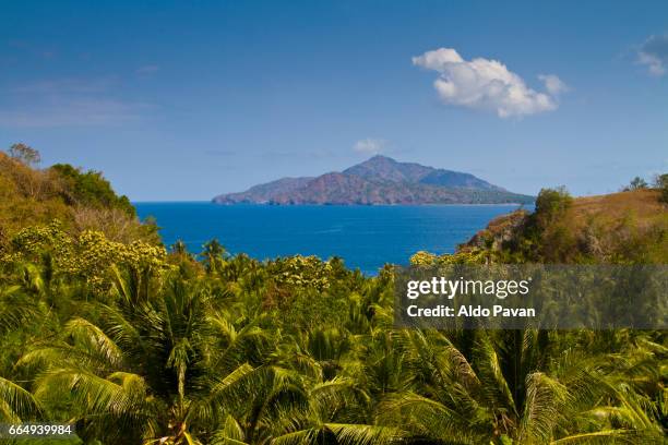 indonesia, flores island, ende island from del main island - flores stockfoto's en -beelden