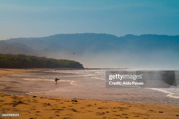 costa rica, santa teresa beach at sunset - surfing santa stock pictures, royalty-free photos & images