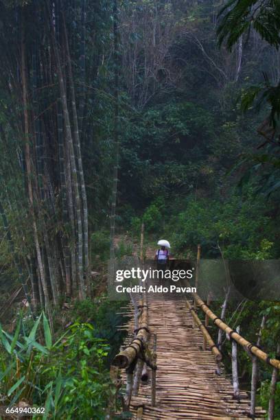 indonesia, flores island, wae rebo village. - 2015 375 stock pictures, royalty-free photos & images