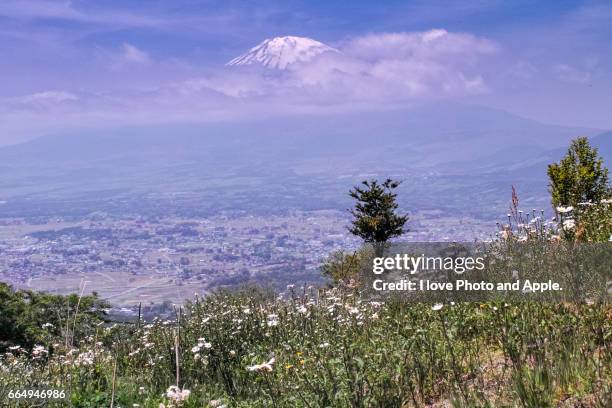 fuji spring scenery - 静岡県 stock-fotos und bilder