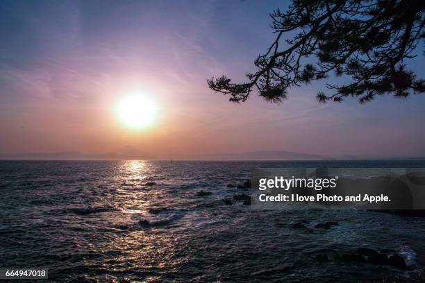 fuji sunset scenery - 太陽光線 stock pictures, royalty-free photos & images