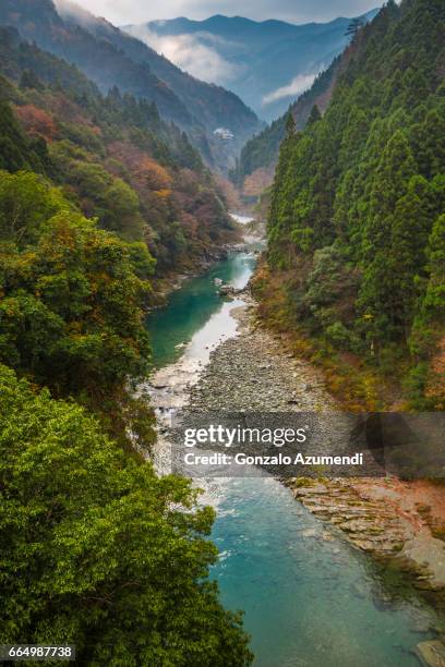 iya valley at shikoku island. - 祖谷渓 ストックフォトと画像