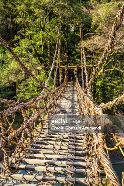 kazurabashi bridge at iya valley. - iya valley stock pictures, royalty-free photos & images