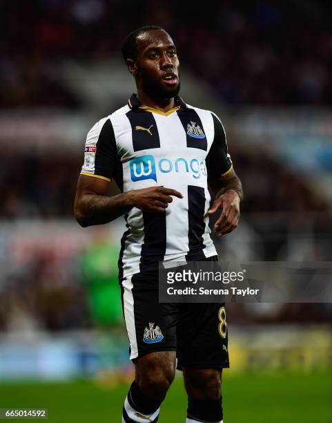 Vurnon Anita of Newcastle United during the Sky Bet Championship Match between Newcastle United and Burton Albion at St.James' Park on April 5, 2017...