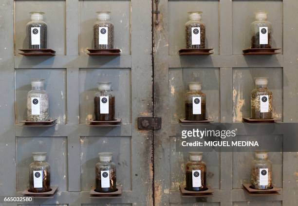 Picture shows jars on wall dedicated to "Shit in the medicine of antiquity" on march 28, 2017 at the Shit Museum in the Castelbosco castle of...