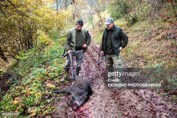 jägare i skogen - guide dog bildbanksfoton och bilder