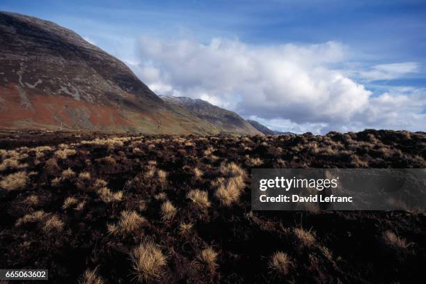 Peat bogs in Kylemore Abbey, Connemara. Images and captions taken from the book La Magie du Whisky.