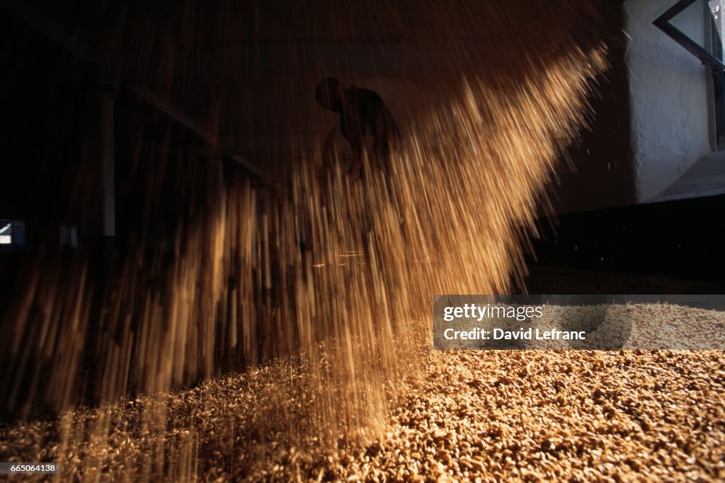 Magic of Whisky in Scotland