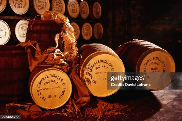 Cellar and barrels of the Bushmills Distillery in Ireland. Images and captions taken from the book La Magie du Whiskey.