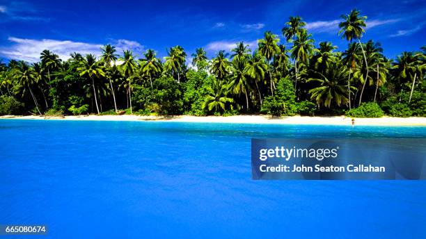 the hinako islands - indonesia hinako stock pictures, royalty-free photos & images