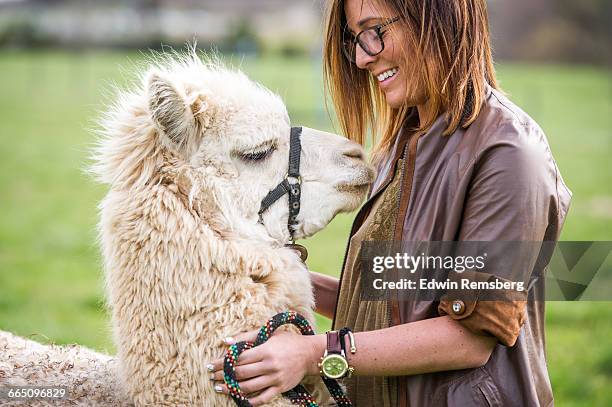 young woman with an alpaca - alpaca fotografías e imágenes de stock