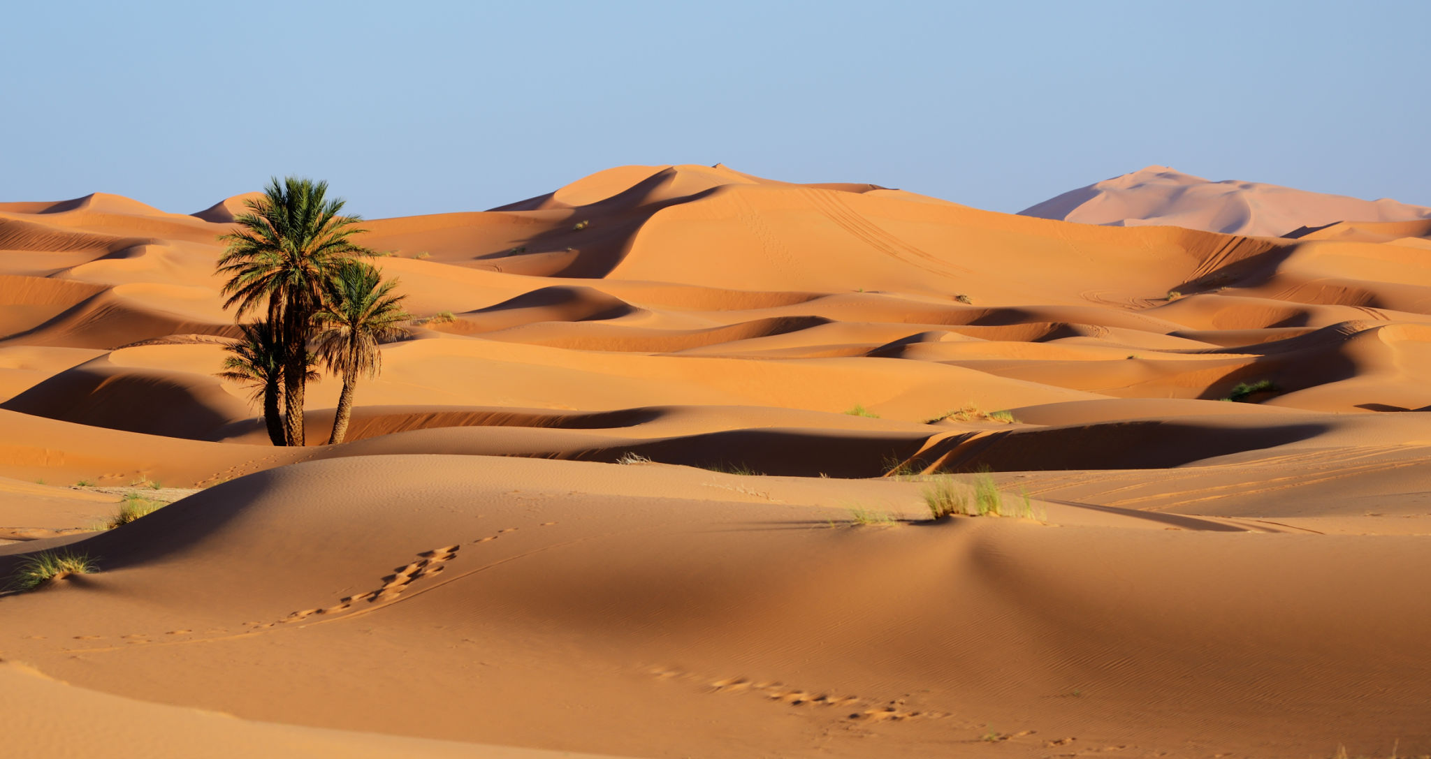 sahara dunes