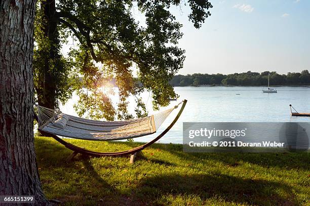 June Slack June Slack Photos and Premium High Res Pictures - Getty Images