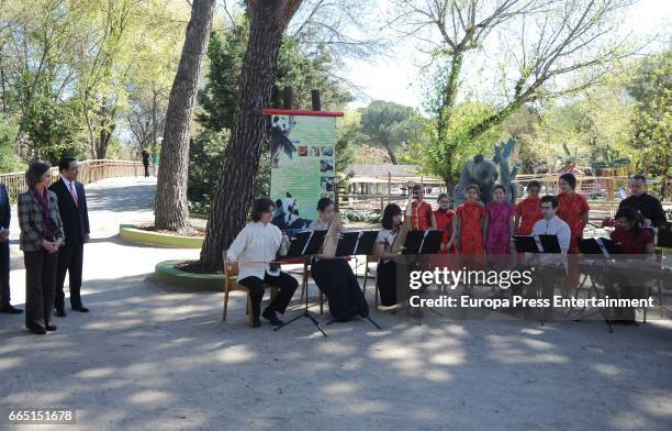 Queen Sofia visits the panda bear Chulina at the Zoo Aquarium in its first outing at Zoo Aquarium Madrid on April 5, 2017 in Madrid, Spain.