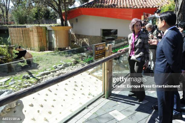 Queen Sofia visits the panda bear Chulina at the Zoo Aquarium in its first outing at Zoo Aquarium Madrid on April 5, 2017 in Madrid, Spain.