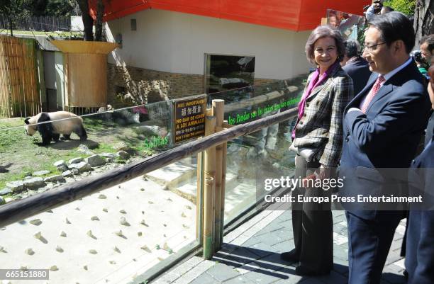 Queen Sofia visits the panda bear Chulina at the Zoo Aquarium in its first outing at Zoo Aquarium Madrid on April 5, 2017 in Madrid, Spain.