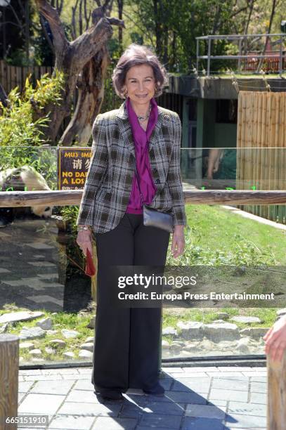 Queen Sofia visits the panda bear Chulina at the Zoo Aquarium in its first outing at Zoo Aquarium Madrid on April 5, 2017 in Madrid, Spain.