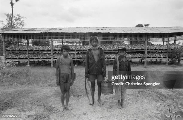 Ten years after the Communist Khmer Rouge came to power, under the leadership of Pol Pot, Cambodia still carries devastating marks of his rule....