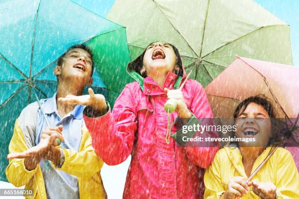 raining - rainfalls stock pictures, royalty-free photos & images