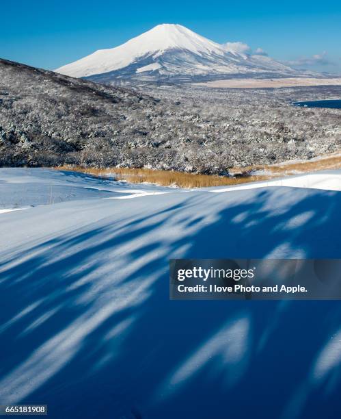 blue shadows - 深い雪 stock-fotos und bilder