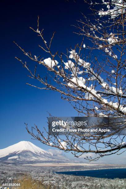blue sky and snow - 深い雪 stock-fotos und bilder