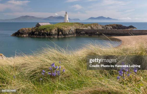 twr bach, ynys llanddwyn - anglesey galles foto e immagini stock