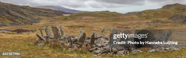 bryn cader faner - stone circle stockfoto's en -beelden