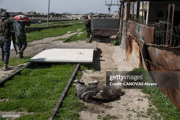 Iraq the battle of Mosul with the men of the Scorpion battalion of the ERD, the Iraqi elite troops. Captain Ali . For lack of reinforcements, they...