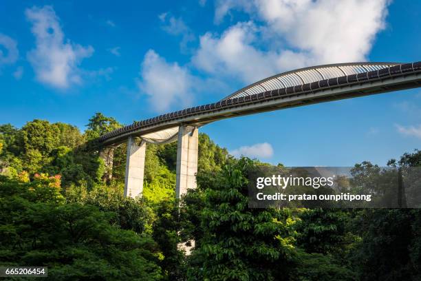 the henderson waves bridge - henderson waves bridge stock pictures, royalty-free photos & images