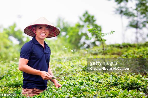mid adult vietnamese man portrait in tea plantation with conical hat - vietnam imagens e fotografias de stock