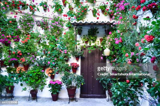 typical patio in cordoba, spain, with hundreds of potted plants and flowers all around - andalusia fotografías e imágenes de stock