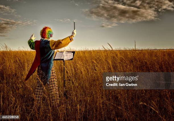 clown conductor - conductor's baton stock pictures, royalty-free photos & images