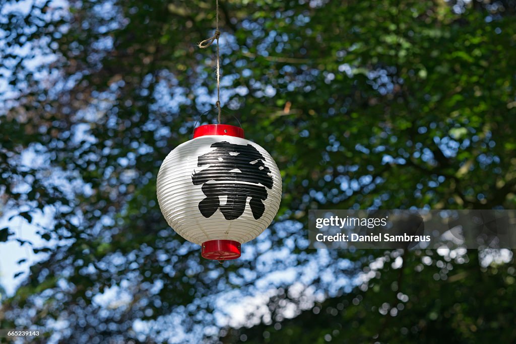 Japanese Star Festival lantern in a tree