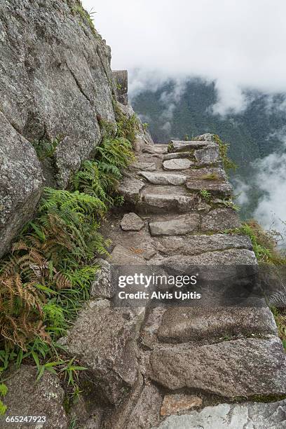 narrow hiking path on waynupicchu - ワイナピチュ山 ストックフォトと画像