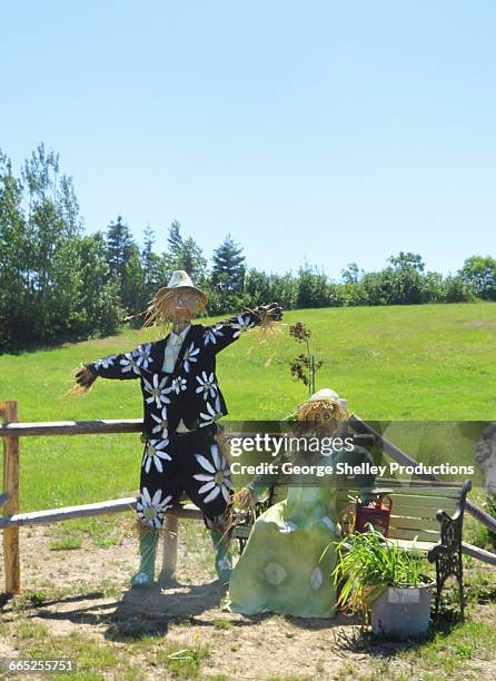 scarecrow couple - scarecrow faces stock pictures, royalty-free photos & images