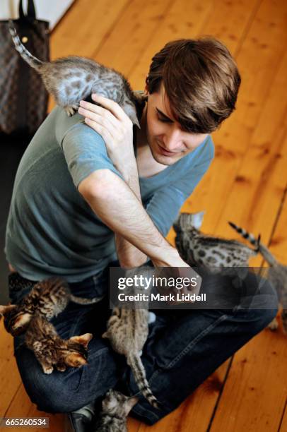 young man covered in bengal kittens - gato bengala fotografías e imágenes de stock