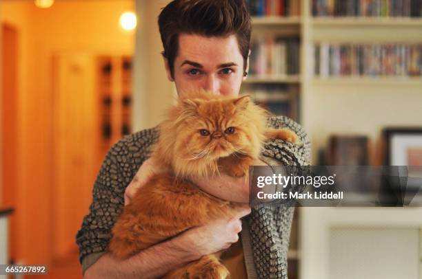 young man holding a red persian cat - persian stock-fotos und bilder