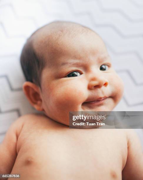 baby portrait - babyface stock-fotos und bilder