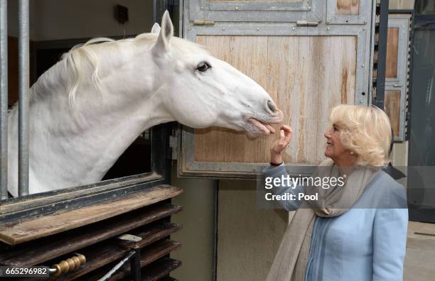 Camilla, Duchess of Cornwall views the horses during her visit to the Spanish Riding School in Vienna during the second day of her visit to Austria,...