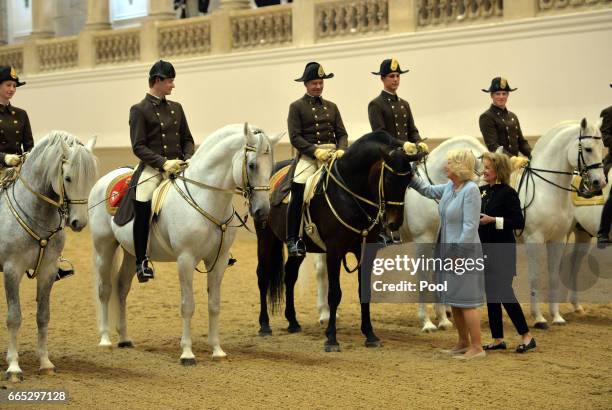 Camilla, Duchess of Cornwall views the horses during her visit to the Spanish Riding School in Vienna during the second day of her visit to Austria,...