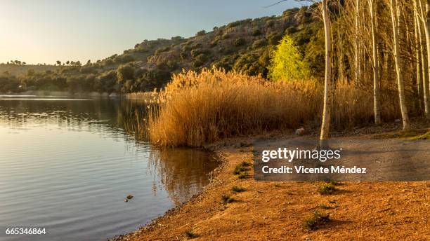 ruidera lagoons (castilla la mancha) - agua estancada stock pictures, royalty-free photos & images