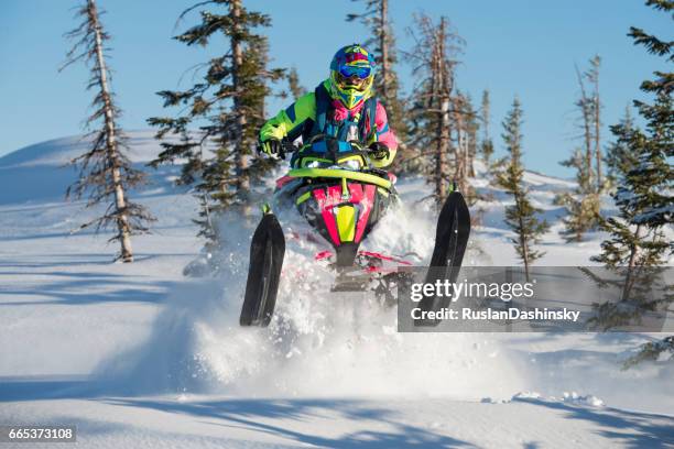 extreme motorschlitten auf tiefschnee im tannenwald. - snowmobiling stock-fotos und bilder