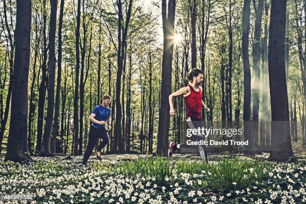 two male adults running in the forest in the springtime. - hillerød stock pictures, royalty-free photos & images