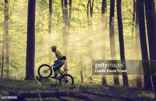 mountain bike riding in the forest - mountain biking fotografías e imágenes de stock