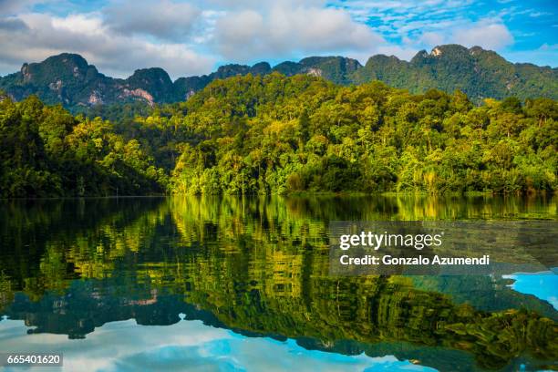 cheow lan lake at  khao sok national park - tailandia stock-fotos und bilder